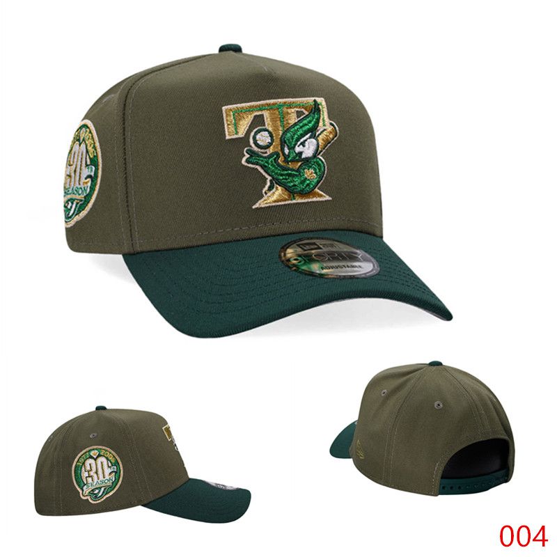 2025 MLB Minnesota Twins Hat TX202503072